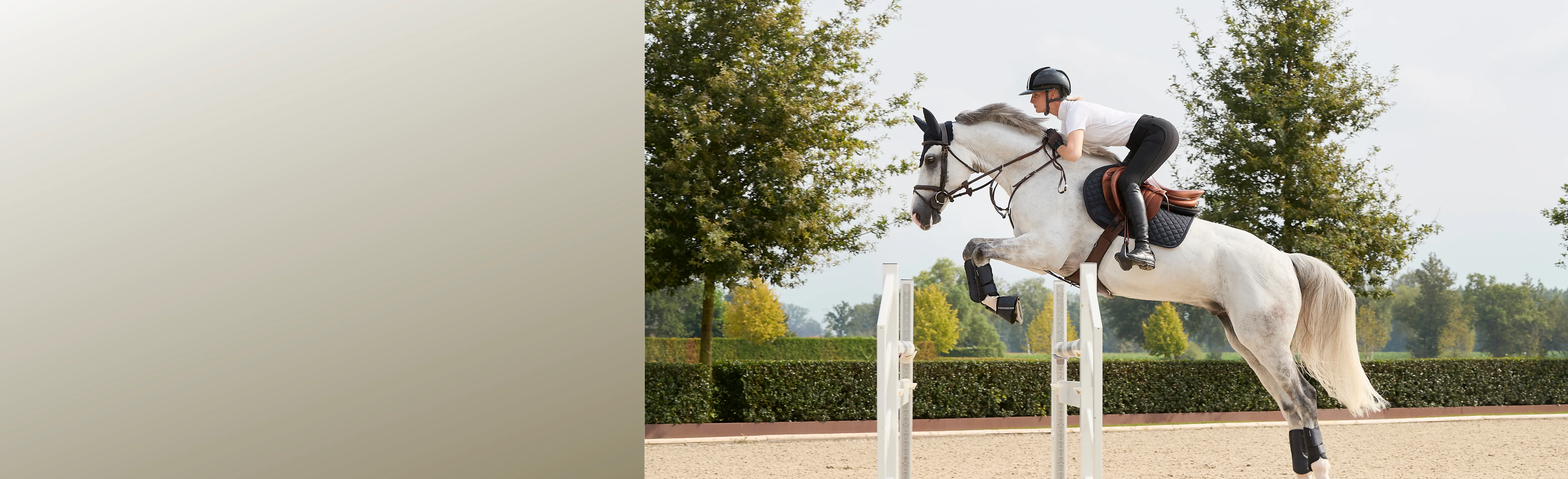 Welcome to Our Store